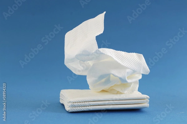 Fototapeta Papiertaschentuch