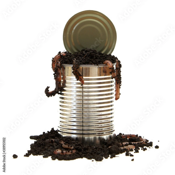 Obraz Otwieranie puszki robaków