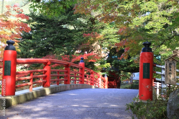 Fototapeta 中野もみじ山の紅葉（青森県・黒石市）