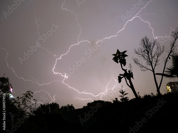 Obraz Lightning in the night, thunderbolt in the sky, Mexico tropical tempest, bad weather, climate change, natural threat , beauty in nature, terrace view, plants on balcony, high contrast, grey gradation