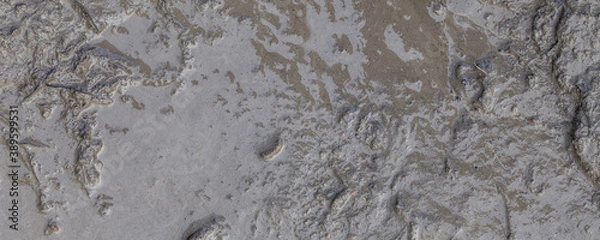Fototapeta greasy wet mud background texture