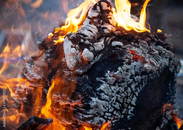 Obraz fire in the fireplace