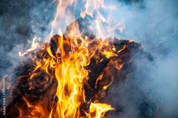 Obraz fire in the fireplace