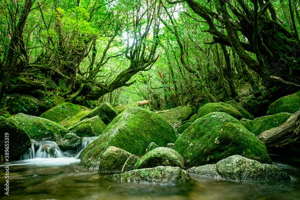 Obraz 白谷雲水峡