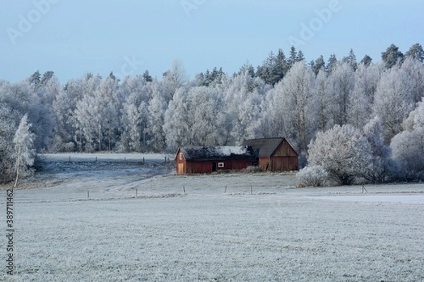 Fototapeta winter landscape 