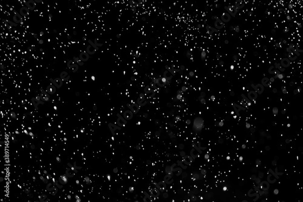 Obraz Falling Snow down On The Black Background