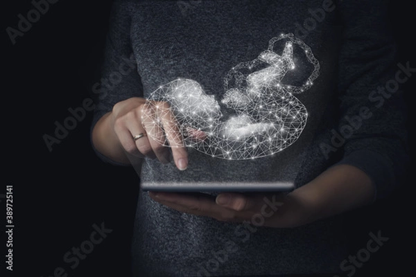 Fototapeta Genetic engineering, surrogacy, embryology, hologram baby background of hand holding tablet, genetic analysis  pregnancy planning. Concept opregnancy, maternity, artificial fertilization. Technology.
