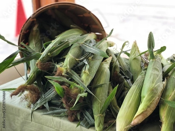 Obraz Corn at Market