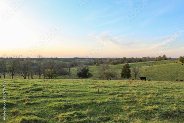 Obraz sunset over the field