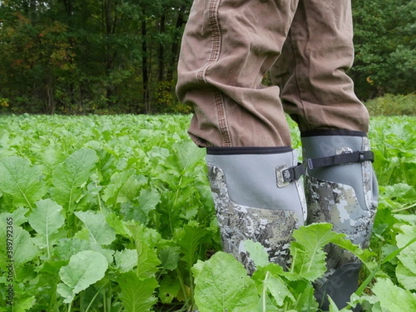 Obraz Boots in Food Plot