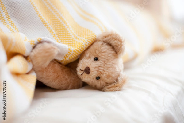 Fototapeta 布団から顔を出すテディベア