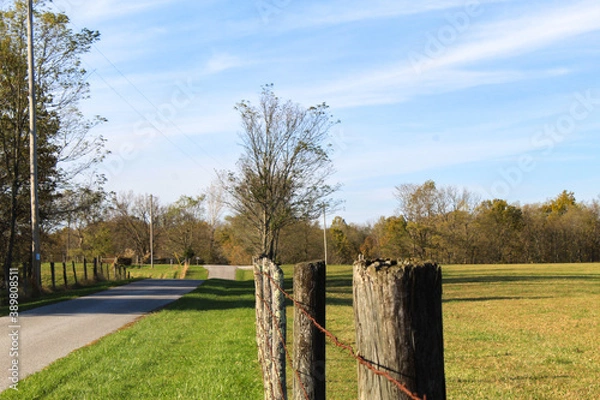 Obraz fence by a country road