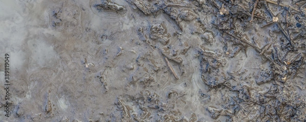Fototapeta greasy wet mud background texture