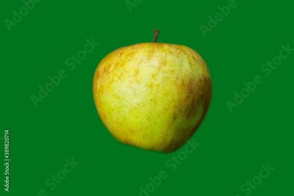 Obraz Apple on a green background