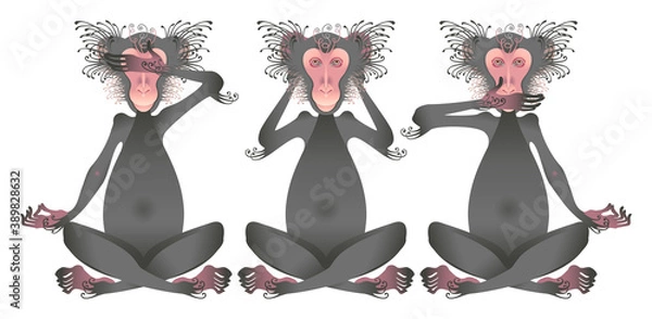 Fototapeta Stylized image of three monkeys covering their eyes, ears and mouth. Vector graphics