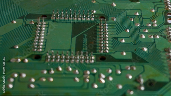 Fototapeta Close-up microsse