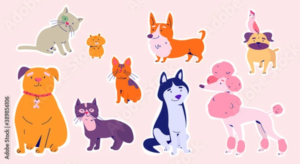 Fototapeta Cute sticker template decorated with different dogs and cats. Large set of trendy stickers vector flat illustration.