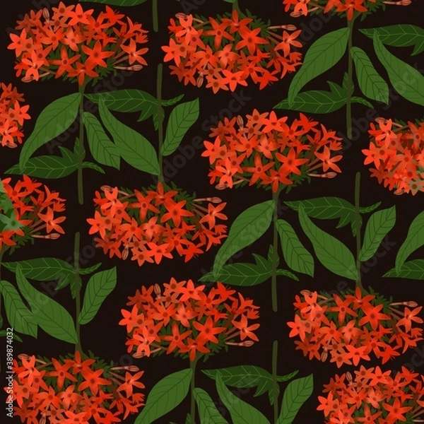 Obraz illustration with flowers in a black background.