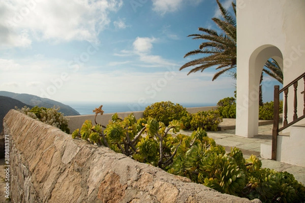 Fototapeta Succulent plane in the garden of beautiful villa with the view at the sea at Folegandros town, Folegandros island, Greece