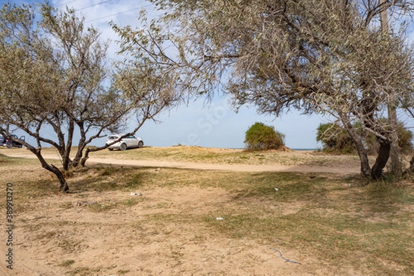 Obraz Car on the sandy shore of the sea of Azov with trees around. holidays, vacations