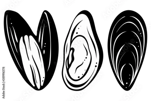 Fototapeta Set of mussels, icon style. Hand drawn vector