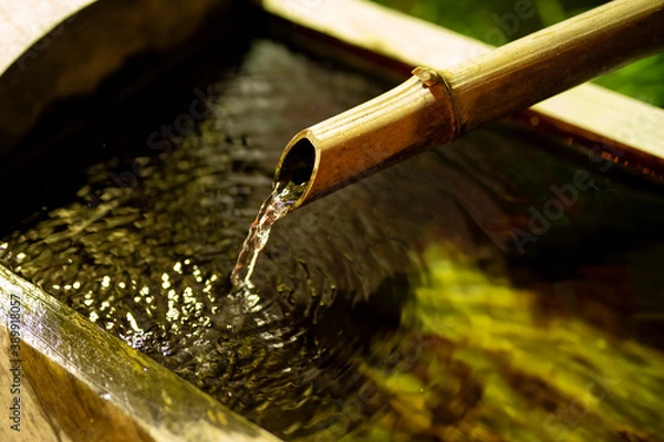 Obraz 日本のししおどし