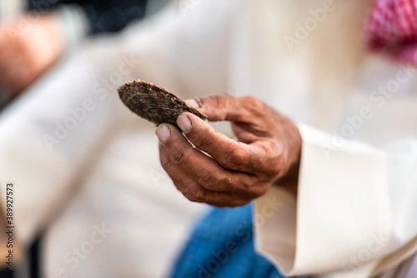Fototapeta arabian pearl diver showing how to open a shell to find salt wate pearls, an old tradition in the gulf countries such as UAE, focus on the hands of an elderly man 