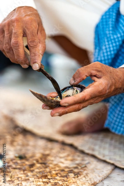 Fototapeta arabian pearl diver showing how to open a shell to find salt wate pearls, an old tradition in the gulf countries such as UAE, focus on the hands of an elderly man 