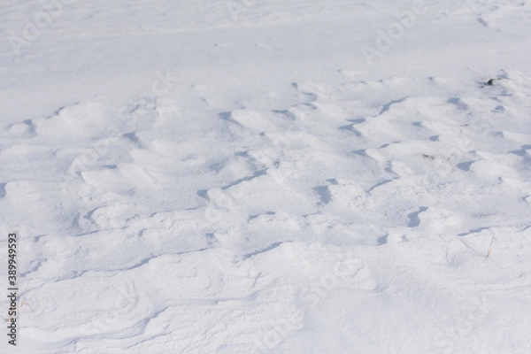 Fototapeta Muster im Schnee