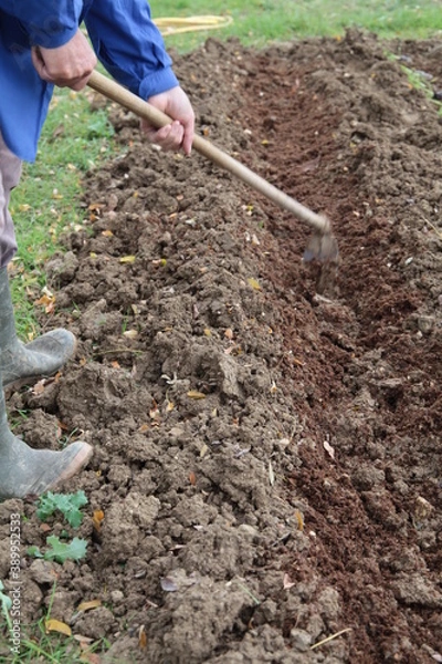 Obraz Mani che lavorano nel campo