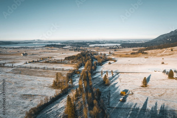 Obraz snowy forest from above
