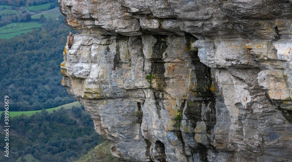 Fototapeta Griffon vulture (Gyps fulvus) at the Salto del Nervion in the Monte Santiago Natural Monument. Region of the Merindades. Province of Burgos, Autonomous Community of Castilla y León, Spain, Europe