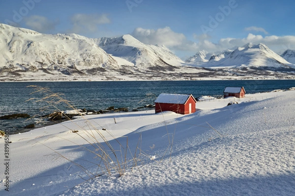 Obraz sunset, lyngen, polar regions, winter time, winter coast, polar night, snow on the sea shore, troms, norway, scandinavia, winter fun, winter contrasts, norwegian fjords, skiing, skiing to the sea, sur