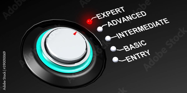 Obraz Knob positioned to the word expert