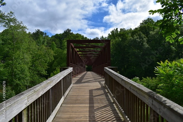 Fototapeta wooden bridge in the forest