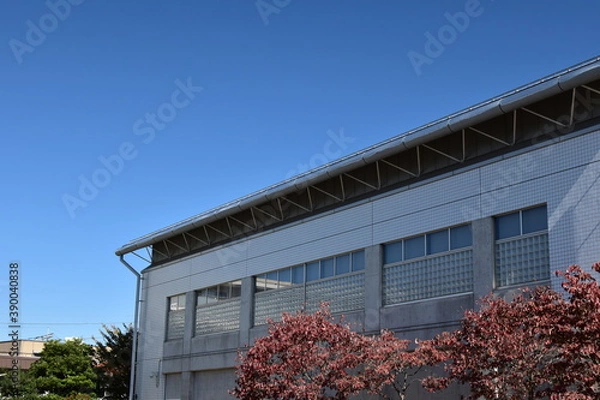 Fototapeta 青空の下の体育館