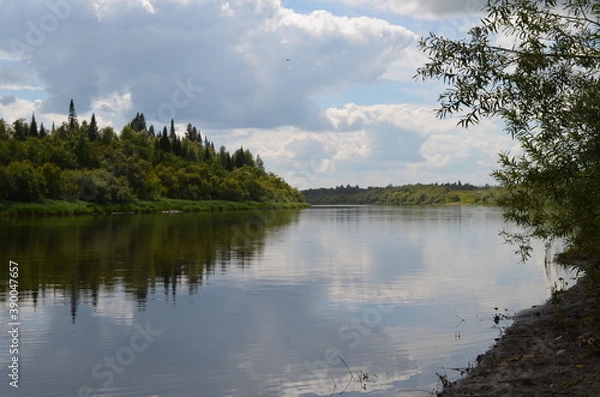 Obraz река, лес, цветы, небо, картина, Ель, красота, картина, трава, облака, отражение, дождь