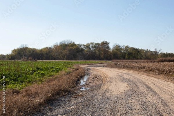 Obraz road in the field