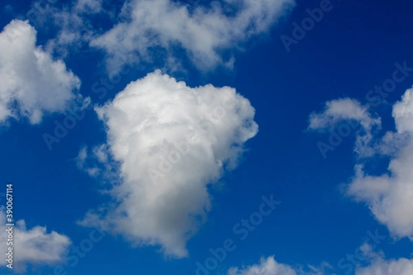 Fototapeta White clouds cumulus floating on blue sky for backgrounds concept