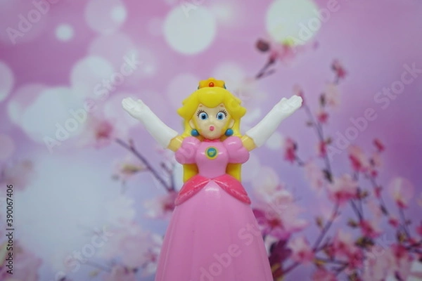 Obraz Princess on a pink background