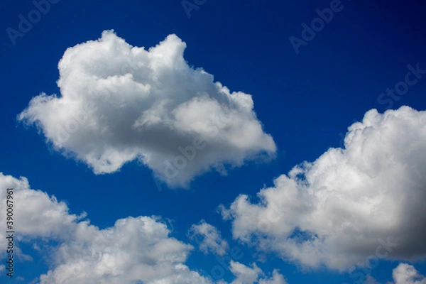 Fototapeta White clouds cumulus floating on blue sky for backgrounds concept