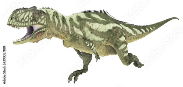 Fototapeta Dinosaurier Yangchuanosaurus, Freisteller