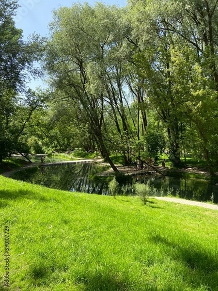 Fototapeta path in the park