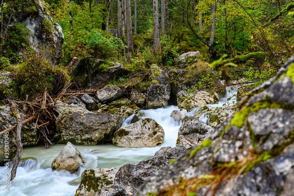 Obraz Stream jesienią I