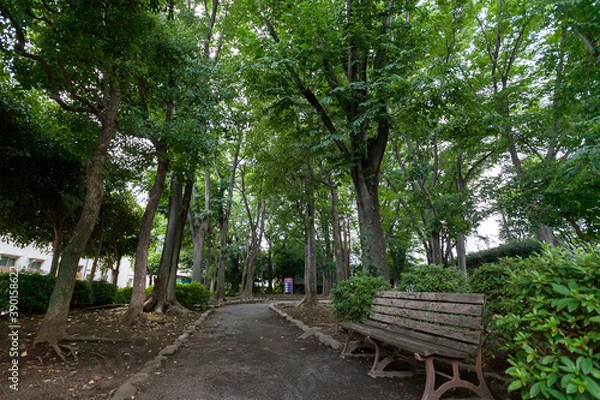Obraz 北町公園（東京都武蔵野市吉祥寺北町2丁目）