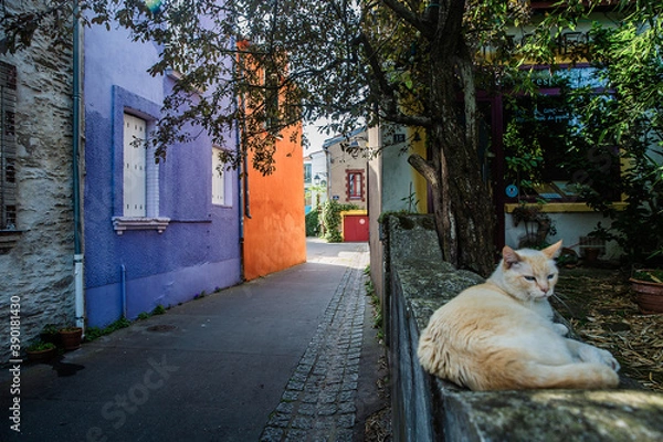 Fototapeta nantes 37