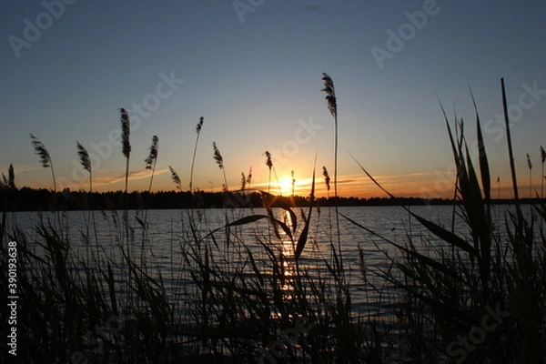Obraz sunset on the river