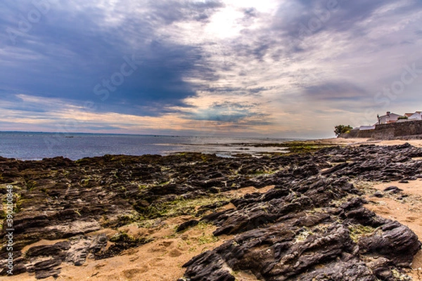 Fototapeta Noirmoutier couleur 41