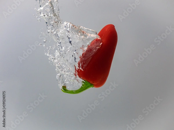 Fototapeta Fresh pepper is splashing into water