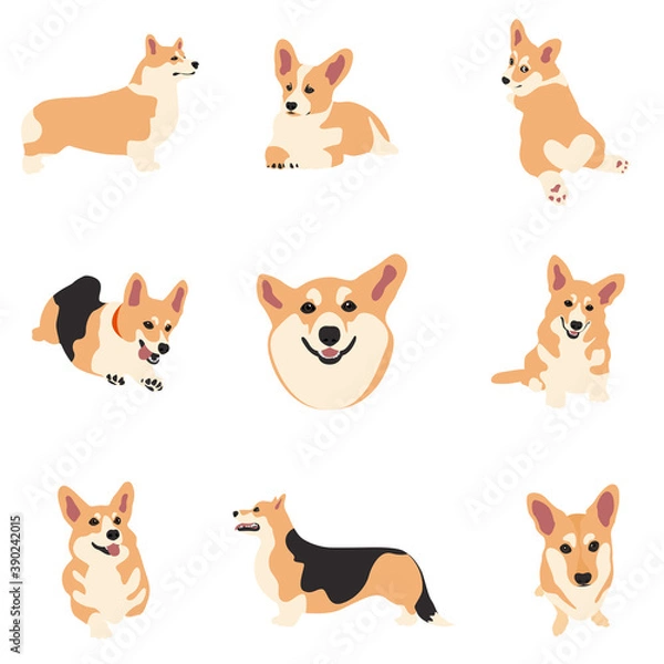 Fototapeta Vector image. The illustration shows different dogs in different breeds are hand-drawn. Suitable for coloring pages, pet shop or pet lovers.